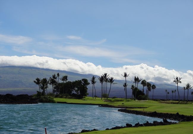 PING - ping パター　ワイコロア　waikoloa beach golf club ping パター ワイコロア waikoloa beach golf club