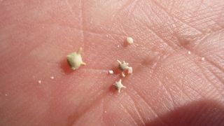 なかなか見つからない・・・