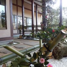 ここにも、椿かわいいね！