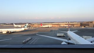 JALの飛行機がいっぱい　【成田空港第２ターミナル見学デッキ】