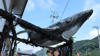 室戸岬の手前の道の駅