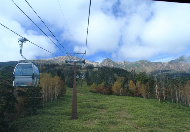 ロープウエイから見た御岳山