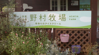 丹後半島に行ったらここは外せません！