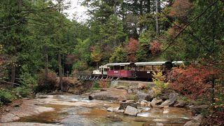 マイナスイオンいっぱいの自然林！