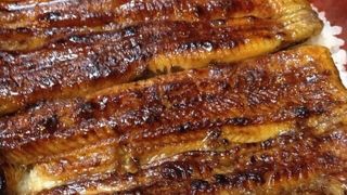 老舗のうなぎ屋さん