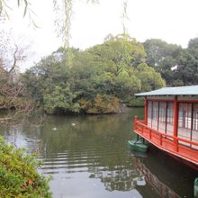 緑もいっぱいです