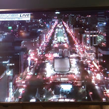 展望台からの景色