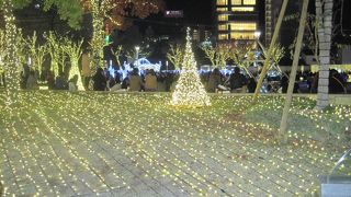 クリスマスの時期はライトアップできれいです。