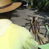 ホテル内の移動に馬車！