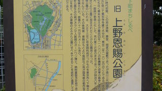 豊かな自然を満喫できます