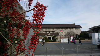 多種多様なコレクションが鑑賞