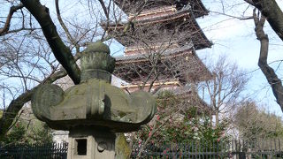 なぜ、動物園内にあるの