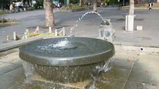 愛くるしい表情のカエルちゃん