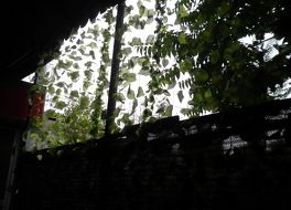 レストラン ビシケク