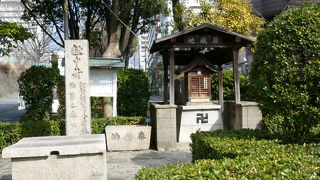 越中の台所の井戸でした！