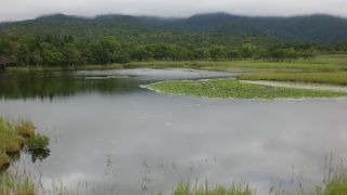 散策コースは2種類ありました