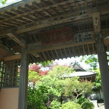 山門脇の勝手門から(リピータさんのおすすめでした)