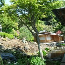 本堂裏手の庭園(非公開ですが本堂脇から拝見撮影)