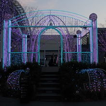 イルミネーションの様子２