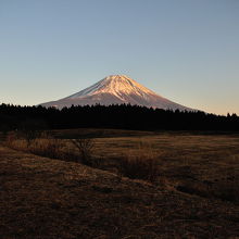 富士山を綺麗に眺めることが出来ます。