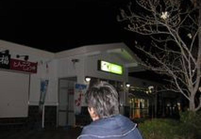 折爪サービスエリア クチコミ アクセス 営業時間 九戸 軽米 フォートラベル