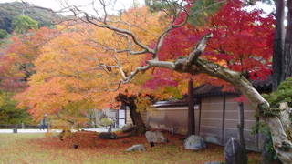 庭園が素晴らしい。