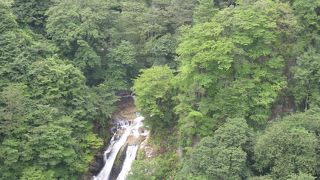 森の中にひっそりとありました。