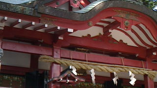 参拝者数が多いですねー。