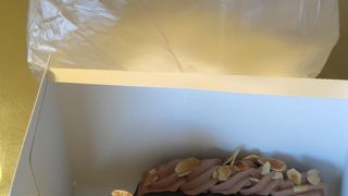  フレッシュクリームシュー