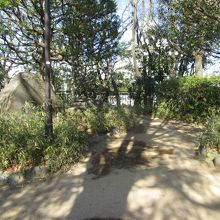 石碑・・・冬の陽に照らされて