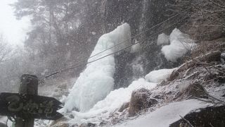 冬も見応えがあります。