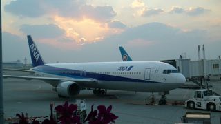 元気になるドラゴンフルーツ