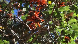 眺めは最高です！！！