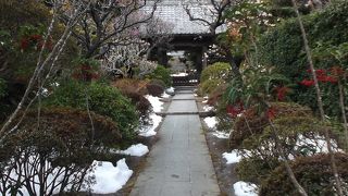 建長寺の中(境内)、非公開の寺院。花木が豊か！