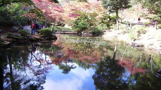 日本庭園のように造られた紅葉の公園