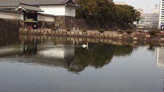 この橋を渡って皇居東御苑に入る事ができます。