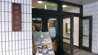 初場所初日前日