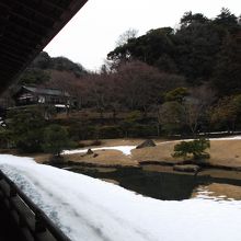 写真は上手に撮れていませんが・・2014年2月雪残る