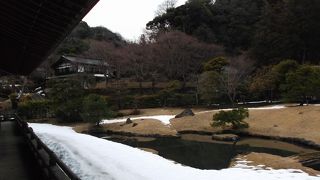 禅庭園の雪景色もいいものです・・