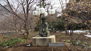 林の中にあっても存在感があります