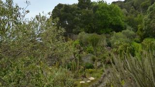 美しい庭園でフォリオを見渡せます