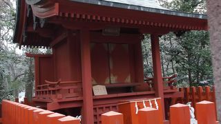 鶴岡八幡宮を見続けています・・