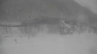 冬は一面の雪景色です