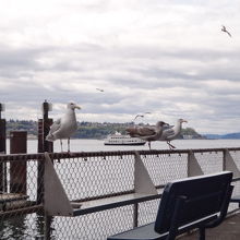 お店の横に、テイクアウト用のテーブルとチェアがあります。