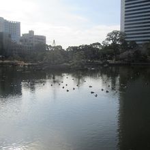 さぁ、池の畔から散策開始です