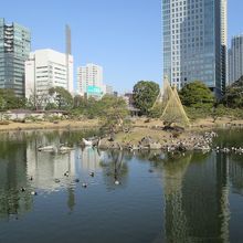 左手に「浮島」を眺めながら、池の上を「中島」に向かいます