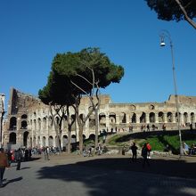 苦労して足場を隠して撮影しました