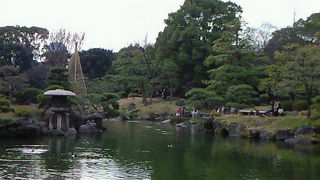 真冬の庭園には、独自の趣がありました！