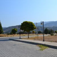 近隣に商店はありません