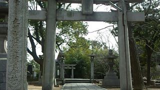 神前結婚式も出来ます